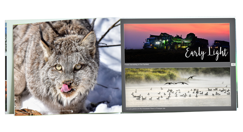 NEW!!! Northern Maine with Paul Cyr - Volume 3 - Image 4